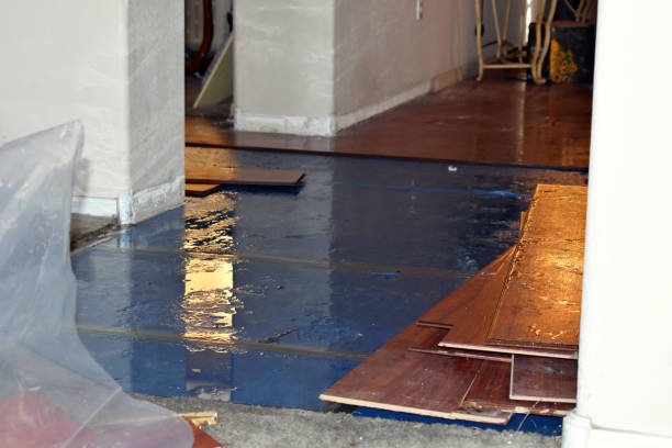 Professional Basement Flood Cleanup technician working in Stanley, WI